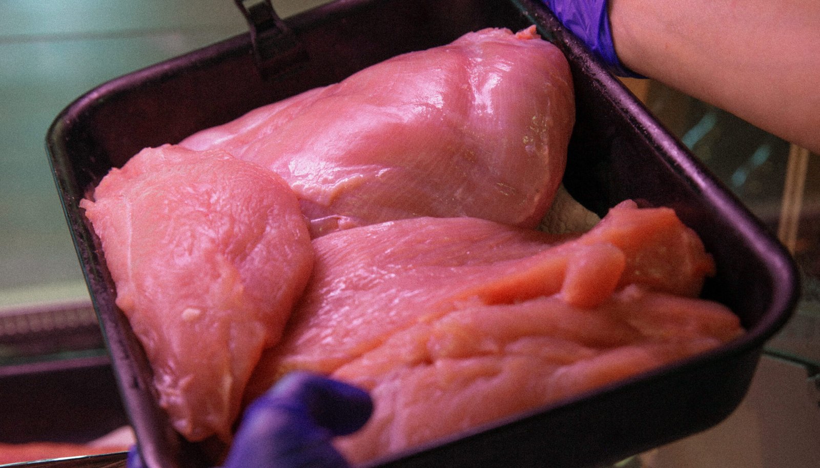 Tacchino ai pomodorini e origano di montagna