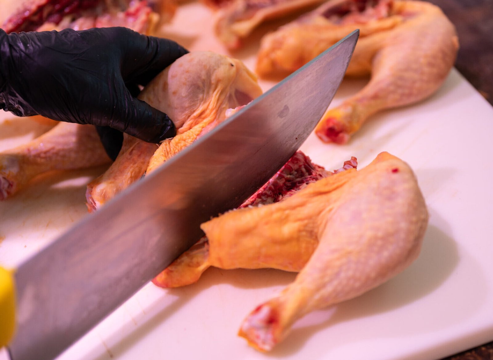 Tacchino ai pomodorini e origano di montagna