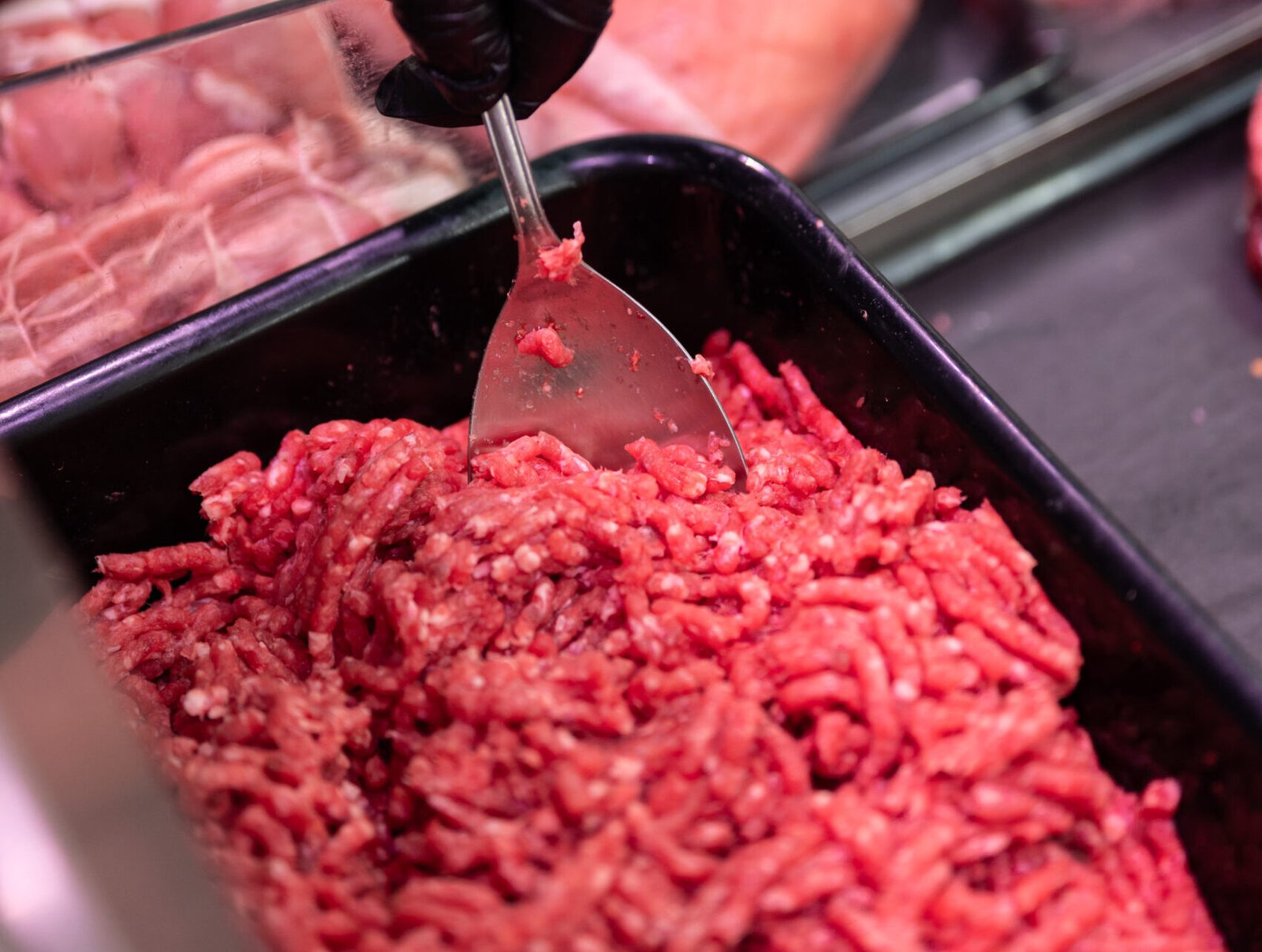 Bigoli freschi al ragù d’anatra e scorza d’arancia