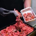 Straccetti di bovino adulto